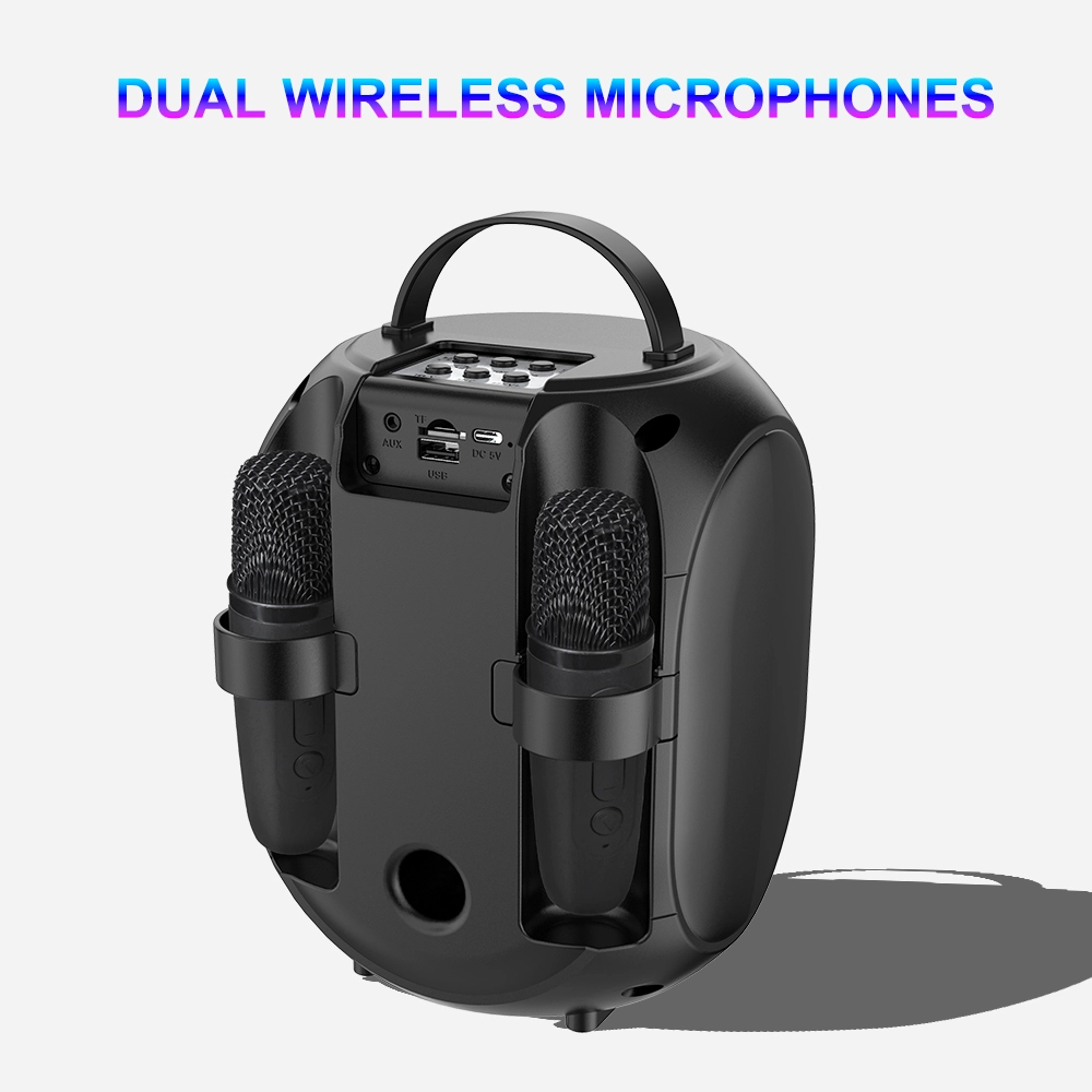 Sing-e outdoor speaker